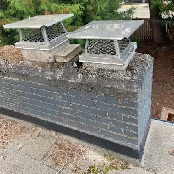 Dual chimney cap installation to prevent debris and animals in Renton, WA